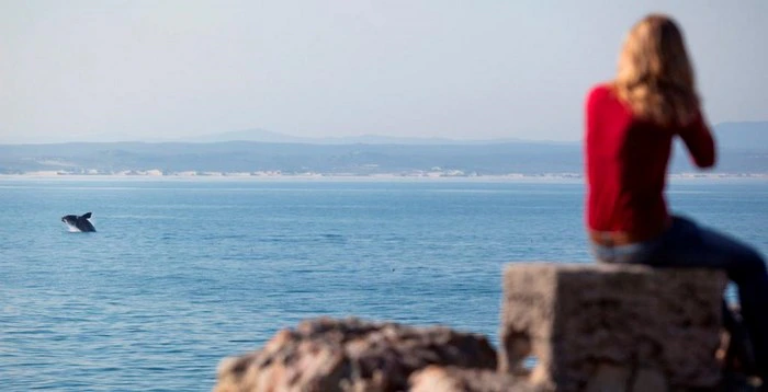 A Photographic Celebration of Spring with #discoverOverberg