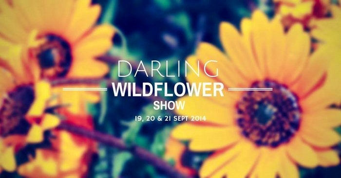 Darling-wildflower-show