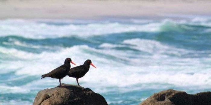 Langebaan – far more than just a Lagoon Town