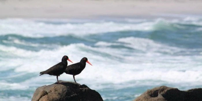 Langebaan – far more than just a Lagoon Town