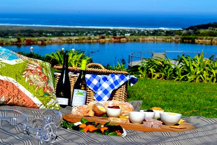 Picnic on the lawn (Photo: supplied by Cape Point Vineyards)