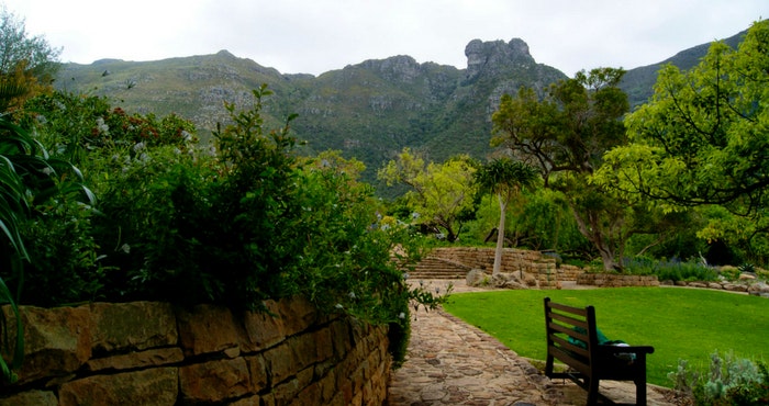 The Gardens at Kirstenbosch, Brent Newhall (Flickr)