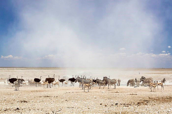 PhotoBlog – 19 things to see along the Cape to Namibia Route