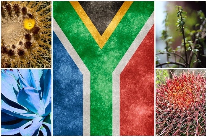 Ons vlag lê die wêreld vol: bekyk hom uit die buitenste ruim!