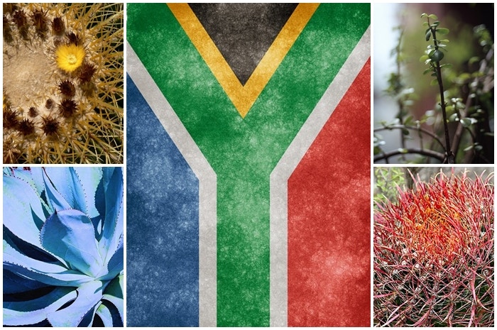 Ons vlag lê die wêreld vol: bekyk hom uit die buitenste ruim!