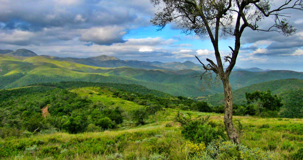 Gamtoos River Valley