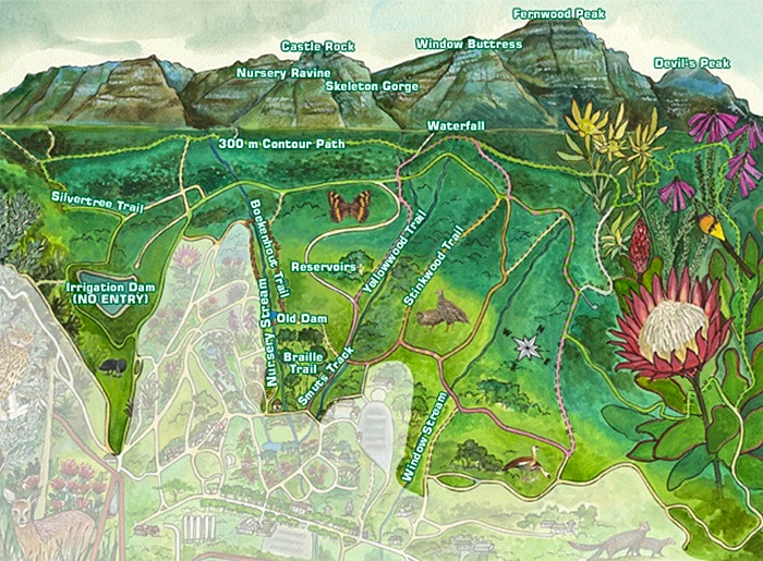 Kies koers op Kirstenbosch se kronkelpaadjies