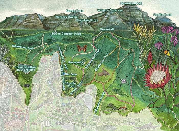 Kies koers op Kirstenbosch se kronkelpaadjies