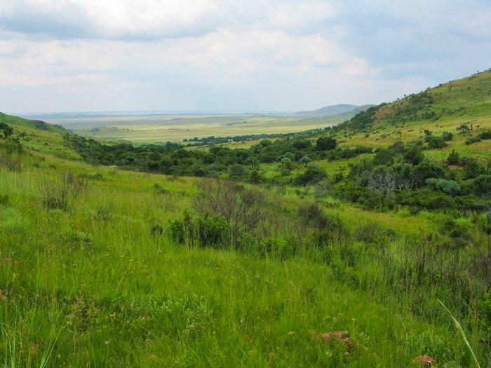 Minder as ’n uur en jy is in die natuur