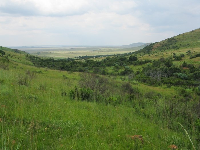 Minder as ’n uur en jy is in die natuur