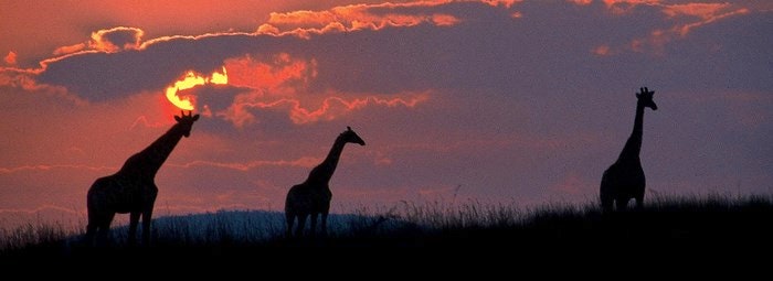 Dink provinsiaal en mik noord … Noordwes!