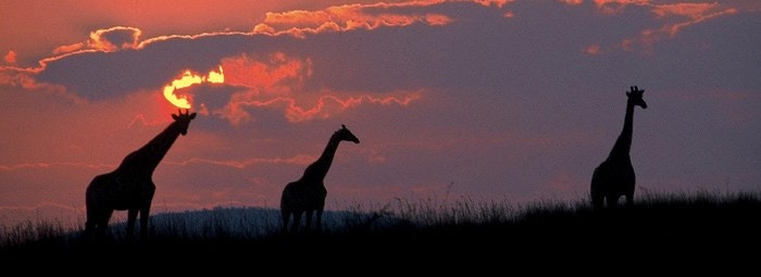 Dink provinsiaal en mik noord … Noordwes!