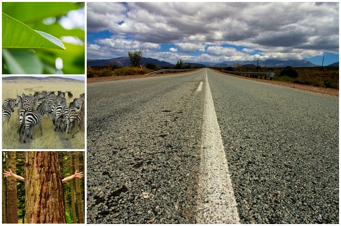 10 wenke vir ‘n omgewingsvriendelike vakansie