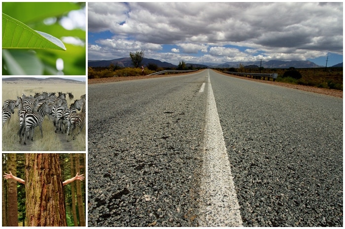 10 wenke vir ‘n omgewingsvriendelike vakansie