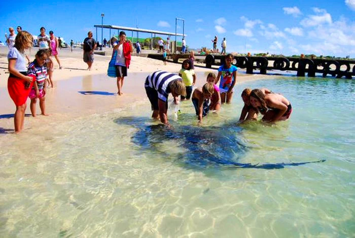 Insider tips for an ultimate Summer Holiday in the Overberg