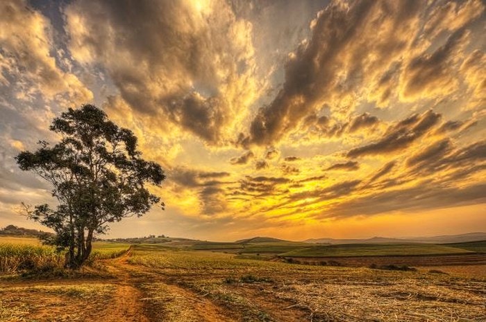 Travel South Africa via Pinterest