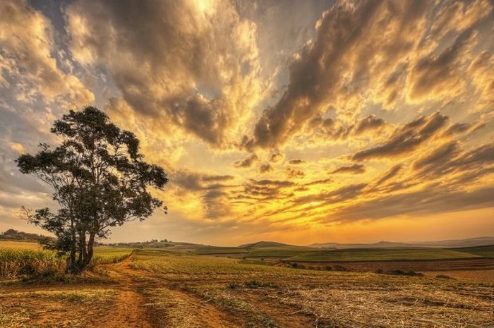 Travel South Africa via Pinterest