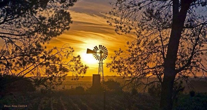 Free State windmill via Pinterest photographer Dave Ross