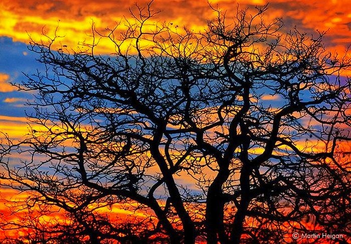 Limpopo Sunset via Pinterest - Photographer Martin Heigan