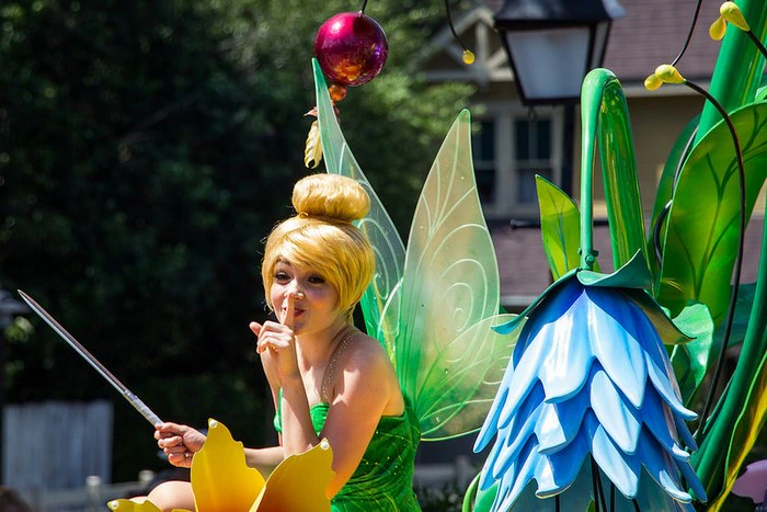 5 Exciting December Events in South Africa