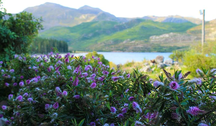 Photos of Elgin to fuel your weekend wanderlust