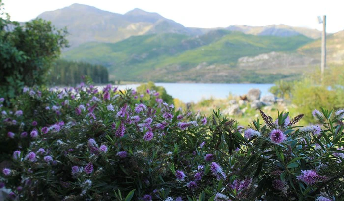 Photos of Elgin to fuel your weekend wanderlust