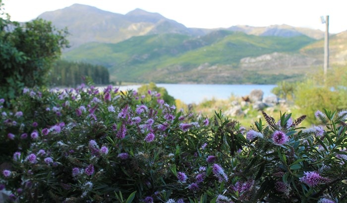 Photos of Elgin to fuel your weekend wanderlust