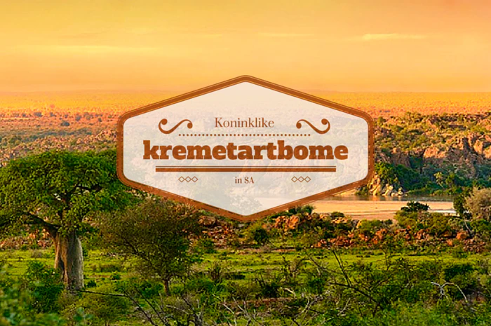 Koninklike Kremetartbome in SA!