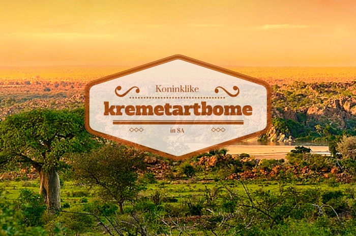 Koninklike Kremetartbome in SA!