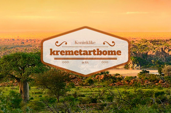 Koninklike Kremetartbome in SA!