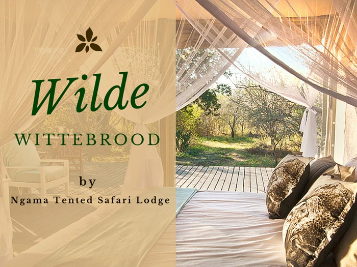 ‘n Wilde wittebrood