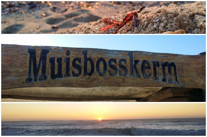 Egte Weskus-ervaring by Muisbosskerm, Lambertsbaai