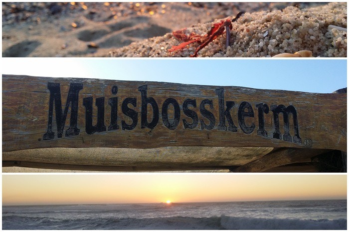 Egte Weskus-ervaring by Muisbosskerm, Lambertsbaai