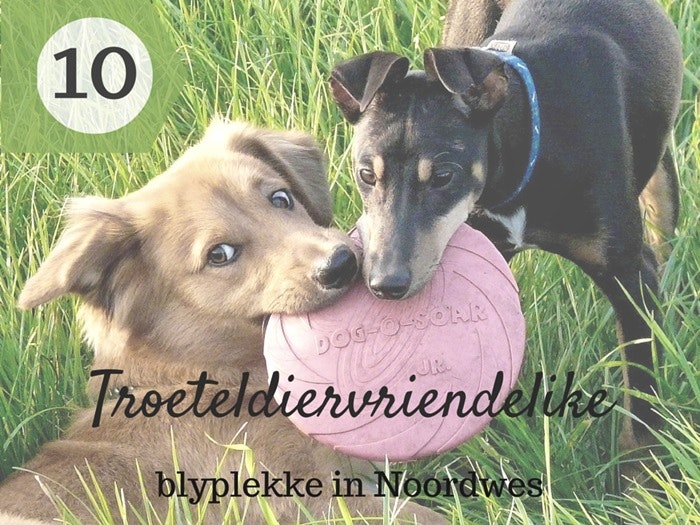 10 Troeteldiervriendelike blyplekke in Noordwes