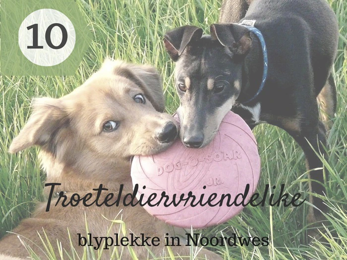 10 Troeteldiervriendelike blyplekke in Noordwes