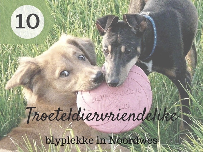 10 Troeteldiervriendelike blyplekke in Noordwes