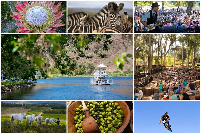 26 Wine estates for people who don’t like wine