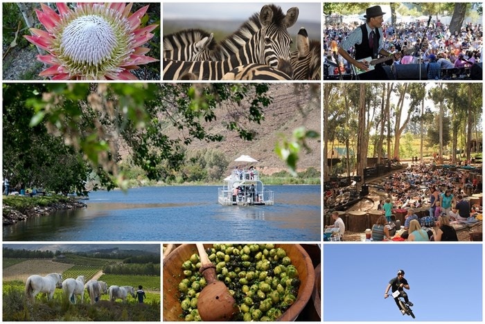 26 Wine estates for people who don’t like wine