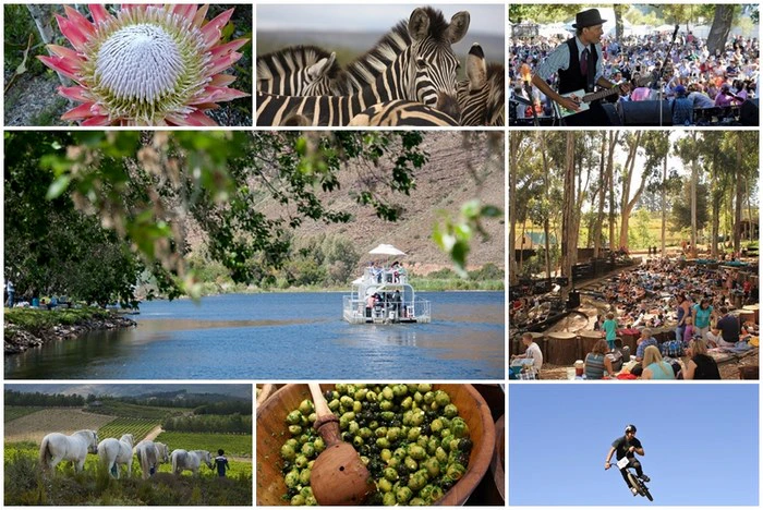 26 Wine estates for people who don’t like wine