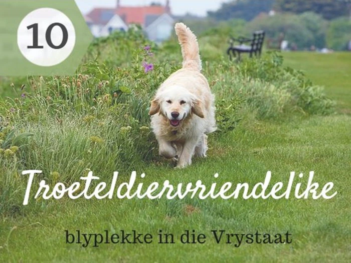10 Troeteldiervriendelike blyplekke in die Vrystaat