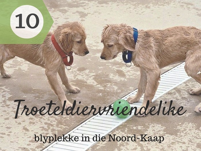 10 Troeteldiervriendelike blyplekke in die Noord-Kaap