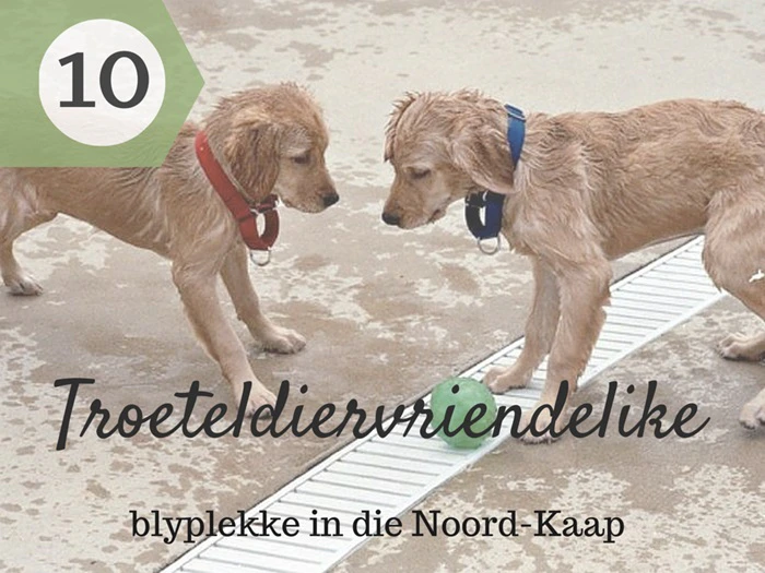 10 Troeteldiervriendelike blyplekke in die Noord-Kaap
