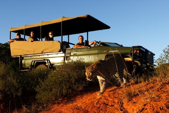 Big 5 Safaris from Cape to Addo