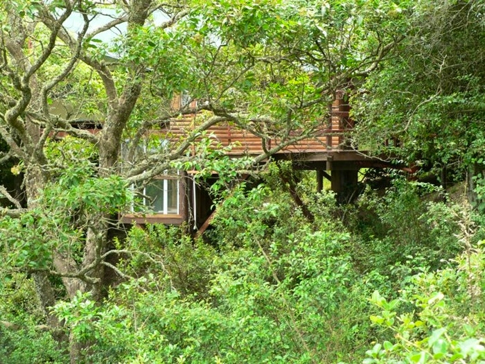 7 Boomhuise vir grootmense