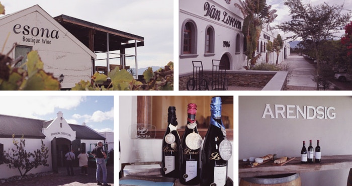 5 top-wynplase in die Robertson-wynvallei