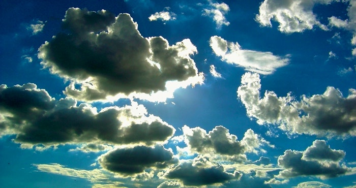 In die spore van die Siener