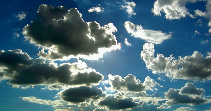 In die spore van die Siener