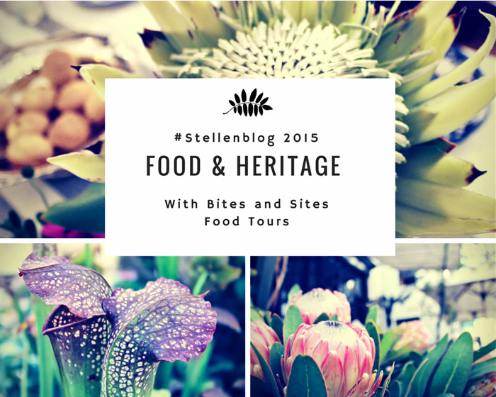 Exploring Stellenbosch with #Stellenblog 2015