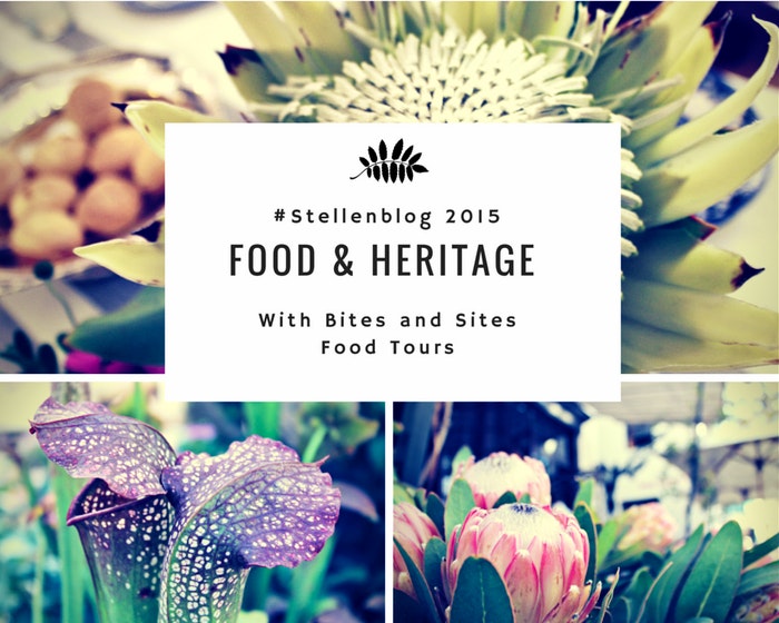 Exploring Stellenbosch with #Stellenblog 2015
