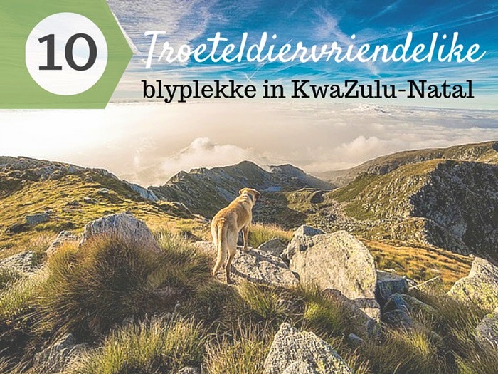 10 Troeteldiervriendelike blyplekke in KwaZulu-Natal